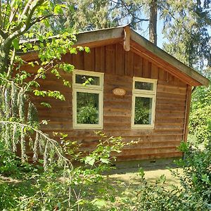 Huis "Holiday"